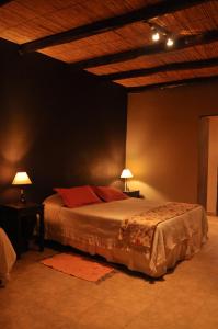 1 dormitorio con 1 cama con 2 lámparas en Casagrande Hotel de Adobe en Tinogasta
