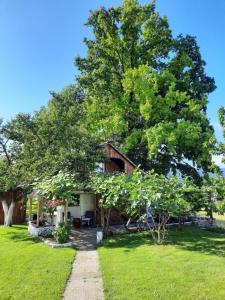 a house with a tree in the yard at Guesthouse ANKL in Lesce