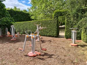 a group of exercise equipment in front of a hedge at Ferienwohnungen Margaretenhof, Plaue in Margarethenhof