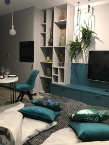 Camera con 2 letti, cuscini e TV. di SŁOŃCE WODA LAS Apartament No 11A a Kielce