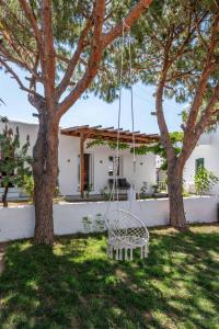 Une balançoire suspendue à deux arbres dans une cour dans l'établissement Secret Garden Apartments, à Mykonos