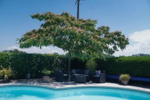 a tree and chairs next to a swimming pool at Michouat Chambre D'Hotes in Vidou