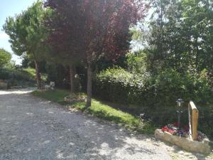 una strada ghiaiosa con un albero e dei fiori di ANGOLO FELICE B&B a Castignano