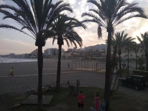 un grupo de palmeras en la playa en La Orquidea, en Benalmádena