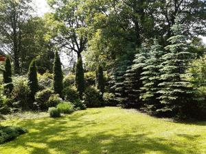ogród z zieloną trawą, drzewami i krzakami w obiekcie Pohulanka w Zakopanem
