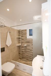 a bathroom with a shower and a toilet and a sink at Filoxenia Apartments in Ornos