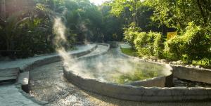 Gallery image of Felda Residence Hot Springs in Sungkai