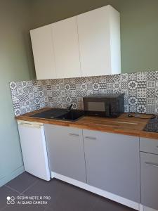 Kuchyň nebo kuchyňský kout v ubytování Hotel Fleur de Lys