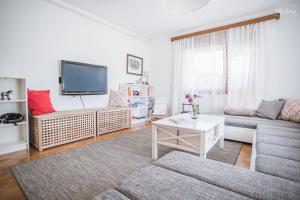 Televízia a/alebo spoločenská miestnosť v ubytovaní Vila Ema