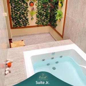 a bathroom with a jacuzzi tub with a plant at CrisAl Suite Posada in J. Saldivar