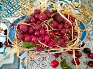 a bowl of red grapes on a blue plate at Casa Carlotta in Monopoli