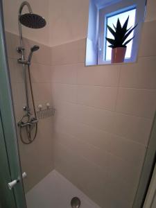 a bathroom with a shower and a potted plant in a window at GOLD 2 Apartman in Sopron