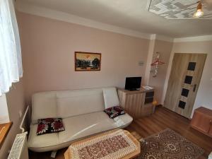 TV a/nebo společenská místnost v ubytování Privát u Bartolomeja