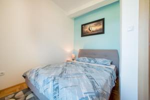 a bedroom with a bed with a blue wall at Apartment Hanja in Bar