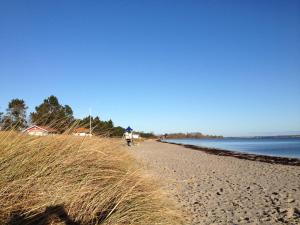 einen Strand mit hoher Wiese neben einem Wasserkörper in der Unterkunft Ferienwohnung Leuchtturm 21 in Schausende + 15 Fotos