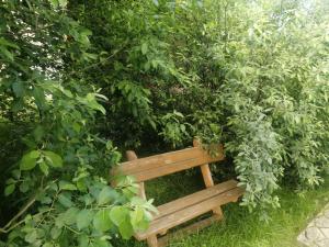 a wooden bench sitting in the middle of a bush at Ostoja in Białowieża