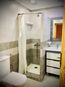 a bathroom with a shower and a toilet and a sink at Dar Chefchaouen in Chefchaouene