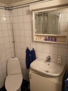 a bathroom with a toilet and a sink at Torpet Norra Lundåsen in Fristad