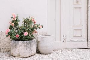 Zahrada ubytování CasaZavi