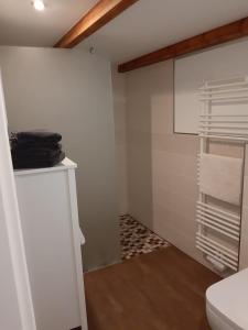 ein Bad mit einem WC und einer Duschkabine in der Unterkunft Appartement Merl in Saarwellingen