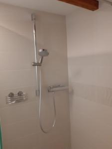 a shower in a bathroom with a shower head at Appartement Merl in Saarwellingen