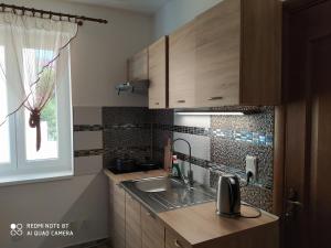 a kitchen with wooden cabinets and a sink and a window at Šenk U Kovárny in Mariánské Lázně +38 photos