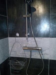 a shower in a bathroom with a shower head at Vias Plage - Maison de vacances in Vias