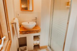a bathroom with a sink and a shower at Ambleside Lodge Bed & Breakfast in Canmore
