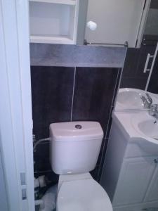 a bathroom with a white toilet and a sink at Vias Plage - Maison de vacances in Vias