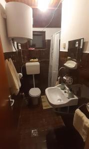 La salle de bains est pourvue de toilettes et d'un lavabo. dans l'établissement Ina 2, à Funtana