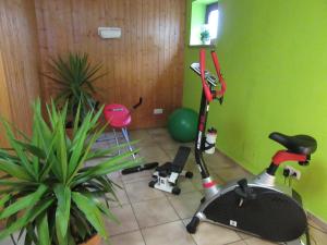 Fitness centrum a/nebo fitness zařízení v ubytování Pension Bauer