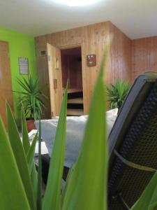 Fotografie z fotogalerie ubytování Pension Bauer v destinaci Ebern