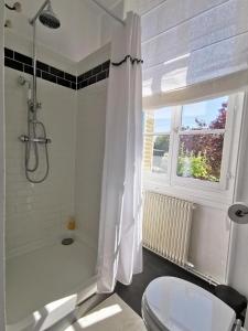 een badkamer met een bad, een toilet en een douche bij Quatre Chats sous un Pin in Le Thoureil