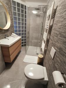 La salle de bains est pourvue d'une douche, de toilettes et d'un lavabo. dans l'établissement Apartments Volče, à Tolmin