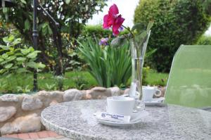 Zahrada ubytování Hotel Ambient - Struga