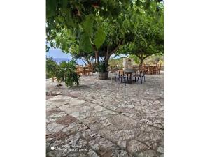 Imagen de la galería de John's Guesthouse, en Ksamil 96 fotos más