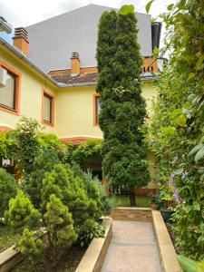 a garden with a large tree in front of a house at Apartmani Rajin in Vršac