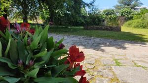 Zahrada ubytování De passage chez Lili