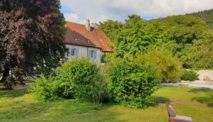 Příroda nedaleko bed and breakfast