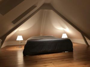 a bedroom with a bed and two lamps on the floor at Fiddler's Hoorn in Zwaag