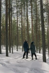 LakeLodge Kiehinen & Igloos žiemą