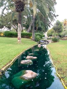 Apartamento Playas del Duque - Puerto Banús - Marbella ...