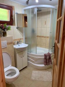 a bathroom with a shower and a toilet and a sink at Domček u Fera in Zázrivá +46 photos