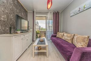 Televízia a/alebo spoločenská miestnosť v ubytovaní Apartament LUX