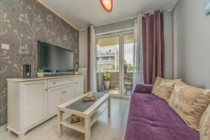 Televízia a/alebo spoločenská miestnosť v ubytovaní Apartament LUX