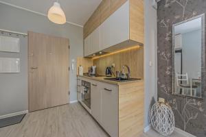 Kuchyňa alebo kuchynka v ubytovaní Apartament LUX