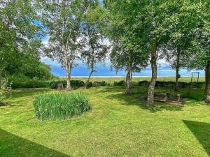 Helberskovにある5 person holiday home in Hadsundの草の中のベンチと木々のある公園