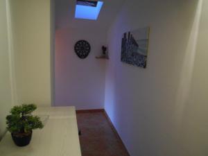 une chambre avec une table et une plante en pot dans l'établissement Maremy, à Zadar