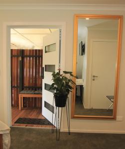 a room with a mirror and a potted plant at The Birch Tree B&B in Motueka