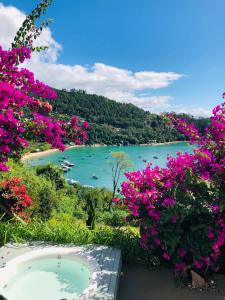 a view of a body of water with pink flowers at Mar de Bougainville in Governador Celso Ramos